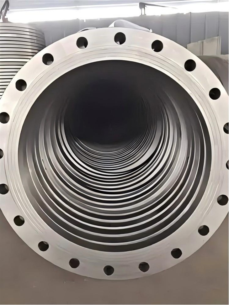 BS Plate Flange suppliers